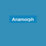 Anamorph