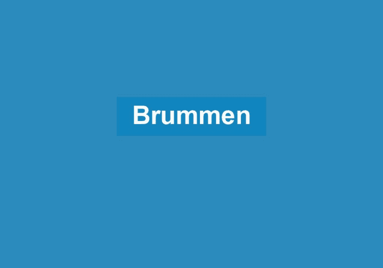 Mehr über den Artikel erfahren Brummen
